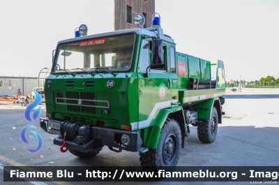 Iveco OM 75P
Vigili del Fuoco
Comando Provinciale di Ferrara
Allestimento Baribbi
Ex Corpo Forestale dello Stato
VF 28160
Parole chiave: Iveco OM 75P VF28160