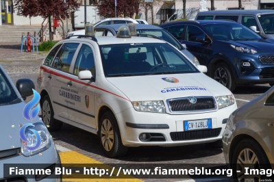 Skoda Fabia I serie
Associazione Nazionale Carabinieri
Protezione Civile Sezione di Ferrara
Parole chiave: Skoda Fabia_Iserie