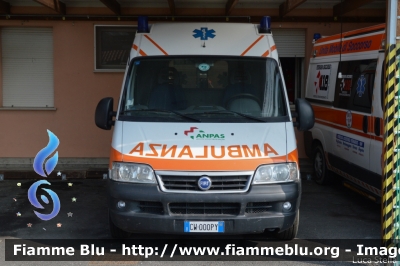 Fiat Ducato III serie
Associazione Pubblica Assistenza Ferrarese - ODV
Allestimento Cevi Carrozzeria Europea
Sede di Migliarino (FE)

Parole chiave: Fiat Ducato_IIIserie Ambulanza