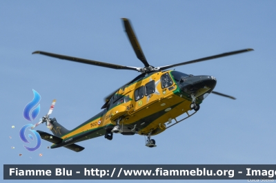 Agusta Westland AW169
Guardia di Finanza
Reparto Operativo Aereonavale
Volpe 502 
Parole chiave: Agusta-Westland AW169 Volpe502 