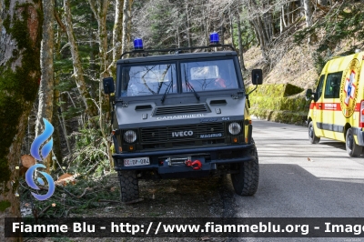 Iveco VM90
Carabinieri
Comando Carabinieri Unità per la tutela Forestale, Ambientale e Agroalimentare
Parco Nazionale Foreste Casentinesi
CC DP 084
Parole chiave: Iveco VM90 CCDP084