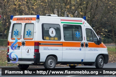 Fiat Ducato II serie
Amici degli Animali Onlus
Ambulanza Veterinaria
Allestimento Mariani Fratelli
Dono della Croce Giallo Blu di Cervia
Parole chiave: Fiat Ducato_IIserie Ambulanza