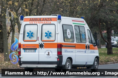 Fiat Ducato II serie
Amici degli Animali Onlus
Ambulanza Veterinaria
Allestimento Mariani Fratelli
Dono della Croce Giallo Blu di Cervia
Parole chiave: Fiat Ducato_IIserie Ambulanza