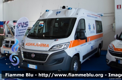 Fiat Ducato X290
Associazione Nazionale Carabinieri
Valle del Chiese
Postazione Carpenedolo (BS)
Allestita Orion
Parole chiave: Fiat Ducato_X290 Ambulanza Reas_2016