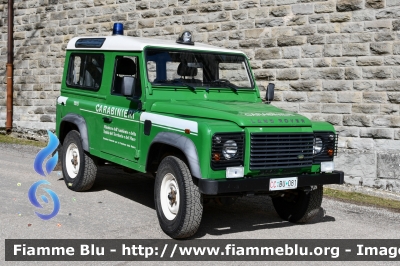 Land-Rover Defeder 90
Carabinieri
Comando Carabinieri Unità per la tutela Forestale, Ambientale e Agroalimentare
Parco Nazionale Foreste Casentinesi
CC BU 081
Parole chiave: Land-Rover Defeder_90 CCBU081