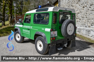 Land-Rover Defeder 90
Carabinieri
Comando Carabinieri Unità per la tutela Forestale, Ambientale e Agroalimentare
Parco Nazionale Foreste Casentinesi
CC BU 081
Parole chiave: Land-Rover Defeder_90 CCBU081