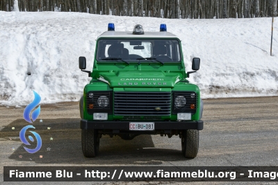 Land-Rover Defeder 90
Carabinieri
Comando Carabinieri Unità per la tutela Forestale, Ambientale e Agroalimentare
Parco Nazionale Foreste Casentinesi
CC BU 081
Parole chiave: Land-Rover Defeder_90 CCBU081