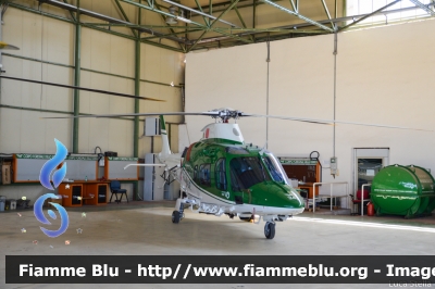 Agusta Westland AW109 Nexus
Corpo Forestale dello Stato
Servizio Aereo
CFS 35 CFS 34 CFS 33
Parole chiave: Agusta-Westland AW109_Nexus CFS33 CFS34 CFS35