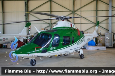 Agusta Westland AW109 Nexus
Corpo Forestale dello Stato
Servizio Aereo
CFS 35 CFS 34 CFS 33
Parole chiave: Agusta-Westland AW109_Nexus CFS33 CFS34 CFS35