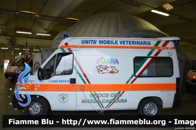 Fiat Ducato II serie
Croce d'Oro Massa
Ambulanza Veterinaria "PIMPA"
Allestita Orion
Parole chiave: Fiat Ducato_IIserie Ambulanza_Veterinaria Reas_2014