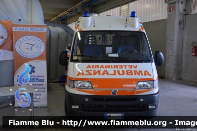 Fiat Ducato II serie
Croce d'Oro Massa
Ambulanza Veterinaria "PIMPA"
Allestita Orion
Parole chiave: Fiat Ducato_IIserie Ambulanza_Veterinaria Reas_2014