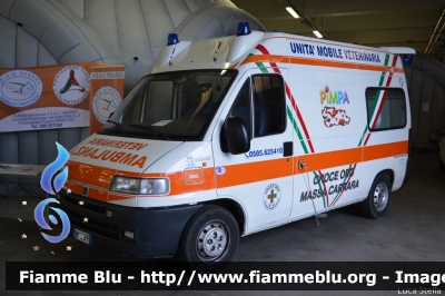 Fiat Ducato II serie
Croce d'Oro Massa
Ambulanza Veterinaria "PIMPA"
Allestita Orion
Parole chiave: Fiat Ducato_IIserie Ambulanza_Veterinaria Reas_2014