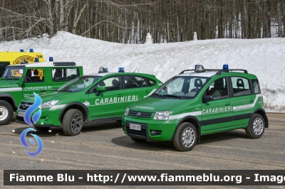 Fiat Nuova Panda 4x4 Climbing I serie 
Carabinieri
Comando Carabinieri Unità per la Tutela Forestali Ambientale ed Agroalimentare 
Parco Nazionale Foreste Casentinesi
CC DP 197
Parole chiave:  CCDP197 Fiat Nuova_Panda_4x4_Climbing_Iserie 