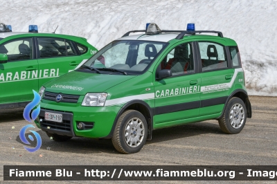 Fiat Nuova Panda 4x4 Climbing I serie 
Carabinieri
Comando Carabinieri Unità per la Tutela Forestali Ambientale ed Agroalimentare 
Parco Nazionale Foreste Casentinesi
CC DP 197
Parole chiave:  CCDP197 Fiat Nuova_Panda_4x4_Climbing_Iserie 