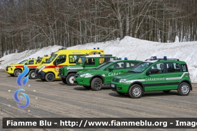 Fiat Nuova Panda 4x4 Climbing I serie 
Carabinieri
Comando Carabinieri Unità per la Tutela Forestali Ambientale ed Agroalimentare 
Parco Nazionale Foreste Casentinesi
CC DP 197
Parole chiave:  CCDP197 Fiat Nuova_Panda_4x4_Climbing_Iserie 