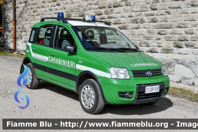 Fiat Nuova Panda 4x4 Climbing I serie 
Carabinieri
Comando Carabinieri Unità per la Tutela Forestali Ambientale ed Agroalimentare 
Parco Nazionale Foreste Casentinesi
CC DP 197
Parole chiave:  CCDP197 Fiat Nuova_Panda_4x4_Climbing_Iserie 