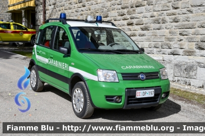 Fiat Nuova Panda 4x4 Climbing I serie 
Carabinieri
Comando Carabinieri Unità per la Tutela Forestali Ambientale ed Agroalimentare 
Parco Nazionale Foreste Casentinesi
CC DP 197
Parole chiave:  CCDP197 Fiat Nuova_Panda_4x4_Climbing_Iserie 