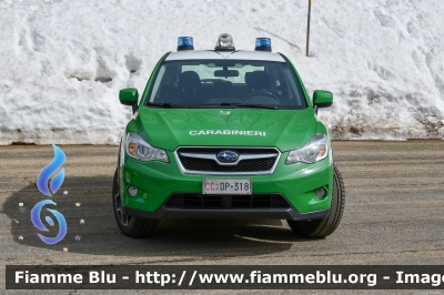 Subaru XV I serie
Carabinieri
Comando Carabinieri unità per la tutela Forestale Ambientale ed Agroalimentare
Allestimento Bertazzoni
Parco Nazionale Foreste Casentinesi
CC DP 318
Parole chiave: Subaru XV_Iserie CCDP318