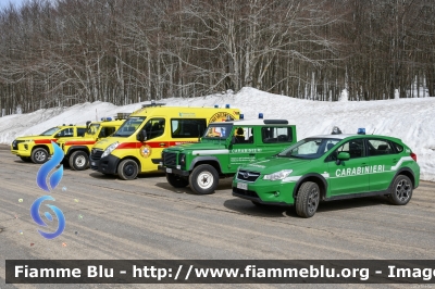 Subaru XV I serie
Carabinieri
Comando Carabinieri unità per la tutela Forestale Ambientale ed Agroalimentare
Allestimento Bertazzoni
Parco Nazionale Foreste Casentinesi
CC DP 318
Parole chiave: Subaru XV_Iserie CCDP318