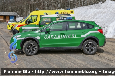 Subaru XV I serie
Carabinieri
Comando Carabinieri unità per la tutela Forestale Ambientale ed Agroalimentare
Allestimento Bertazzoni
Parco Nazionale Foreste Casentinesi
CC DP 318
Parole chiave: Subaru XV_Iserie CCDP318