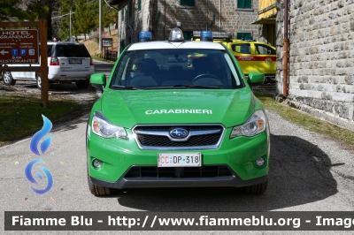 Subaru XV I serie
Carabinieri
Comando Carabinieri unità per la tutela Forestale Ambientale ed Agroalimentare
Allestimento Bertazzoni
Parco Nazionale Foreste Casentinesi
CC DP 318
Parole chiave: Subaru XV_Iserie CCDP318