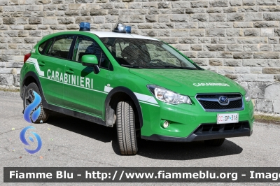 Subaru XV I serie
Carabinieri
Comando Carabinieri unità per la tutela Forestale Ambientale ed Agroalimentare
Allestimento Bertazzoni
Parco Nazionale Foreste Casentinesi
CC DP 318
Parole chiave: Subaru XV_Iserie CCDP318