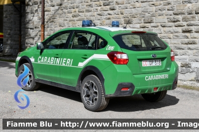 Subaru XV I serie
Carabinieri
Comando Carabinieri unità per la tutela Forestale Ambientale ed Agroalimentare
Allestimento Bertazzoni
Parco Nazionale Foreste Casentinesi
CC DP 318
Parole chiave: Subaru XV_Iserie CCDP318