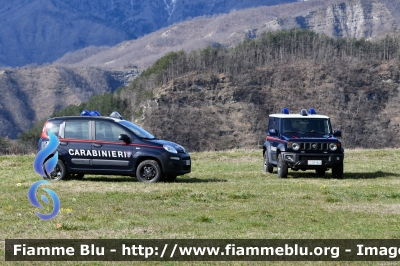 Fiat Nuova Panda 4x4 II serie
Carabinieri
Comando Carabinieri Unità per la tutela Forestale Ambientale ed Agroalimentare
Parco Nazionale Foreste Casentinesi
CC DT 794
Parole chiave: Fiat Nuova_Panda_4x4_IIserie CCDT794