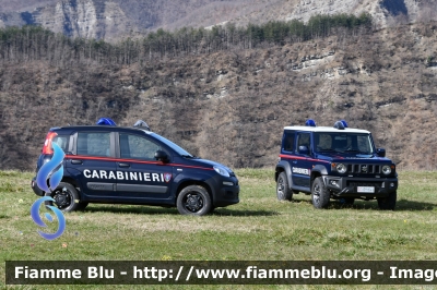 Fiat Nuova Panda 4x4 II serie
Carabinieri
Comando Carabinieri Unità per la tutela Forestale Ambientale ed Agroalimentare
Parco Nazionale Foreste Casentinesi
CC DT 794
Parole chiave: Fiat Nuova_Panda_4x4_IIserie CCDT794