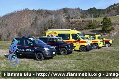 Fiat Nuova Panda 4x4 II serie
Carabinieri
Comando Carabinieri Unità per la tutela Forestale Ambientale ed Agroalimentare
Parco Nazionale Foreste Casentinesi
CC DT 794
Parole chiave: Fiat Nuova_Panda_4x4_IIserie CCDT794