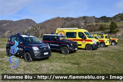 Fiat Nuova Panda 4x4 II serie
Carabinieri
Comando Carabinieri Unità per la tutela Forestale Ambientale ed Agroalimentare
Parco Nazionale Foreste Casentinesi
CC DT 794
Parole chiave: Fiat Nuova_Panda_4x4_IIserie CCDT794