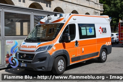 Fiat Ducato X290
118 Ferrara Soccorso
Azienda Ospedaliera Universitaria di Ferrara
Ambulanza "ECHO 02"
Allestita Aricar
Parole chiave: Fiat Ducato_X290 Ambulanza