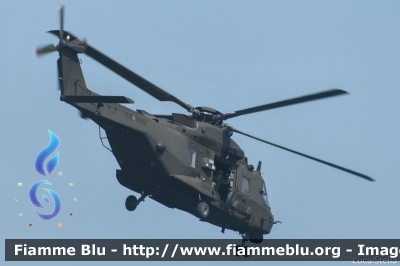 NHI NH-90 TTH
Esercito Italiano
7º Reggimento AVES "Vega"
EI 229
Parole chiave: NHI NH-90_TTH EI229 Air_show_2019 / Valore_Tricolore_2019