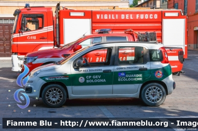 Fiat Nuova Panda II serie
Protezione Civile
Emilia Romagna
Guardie Ecologiche Volontarie
Bologna
Parole chiave: Fiat Nuova_Panda_IIserie Festa_della_repubblica_2022