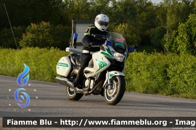 Honda Deauville III serie
Polizia Locale Brescia
POLIZIA LOCALE YA 02872
POLIZIA LOCALE YA 02873
In scorta alla Mille Miglia 2019
Parole chiave: Honda Deauville_IIIserie POLIZIALOCALEYA02872 POLIZIALOCALEYA02873 1000_Miglia_2019