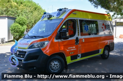 Fiat Ducato X290
118 Romagna Soccorso
Azienda USL della Romagna
Ambito Territoriale di Ravenna
Allestimento Orion
"RA 34"
Parole chiave: Fiat Ducato_X290 Ambulanza