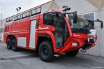 vf_magirus_dragon_2_281029.jpg