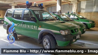 Nissan Terrano II serie restyle
Carabinieri
Comando Carabinieri Unità per la tutela Forestale, Ambientale e Agroalimentare
CC DP 312

Parole chiave: Nissan Terrano_IIserie_restyle CCDP312