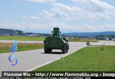 Mowag Piranha 6x6
Schweiz - Suisse - Svizra - Svizzera
Polizia Cantonale Zurigo
(polizia aereoportuale)
Zurich Airport
