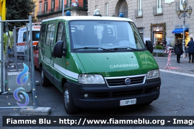 Fiat Ducato III serie
Carabinieri
Comando Carabinieri Unità per la tutela Forestale, Ambientale e Agroalimentare
CC DP 921
Parole chiave: Fiat Ducato_III serie_CCDP921