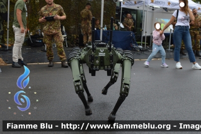 Q-UGV Vision 60
Esercito Italiano
9° Reparto Sicurezza Cibernetica "Rombo"
denominato "Cesare"
Veco Robotics
Parole chiave: Q-UGV Vision 60