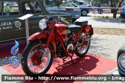 Moto Guzzi Airone Sport 250
Polizia di Stato
Polizia Stradale
Esemplare esposto presso il Museo delle auto della Polizia di Stato
POLIZIA 13107
In esposizione alla Fiera del Levante di Bari
Parole chiave: Moto_Guzzi Airone_Sport_250 POLIZIA13107