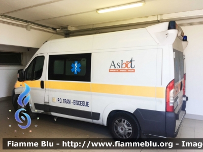 Fiat Ducato X250
ASL Barletta Andria Trani
Presidio Ospedaliero di Trani
Allestimento A.V.S.
Parole chiave: Fiat Ducato X250_ambulanza