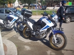 Honda_Transalp_Polizia_Municipale_Molfetta_2_Polizia_Locale_YA00119.jpg