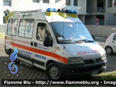 Fiat Ducato III serie
AVPA Croce Blu Modena

Parole chiave: Fiat Ducato_IIIserie Ambulanza