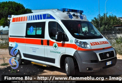 Fiat Ducato X250 3.0 Power
Croce Verde Civitanova Marche (MC).
Ambulanza da soccorso per servizio 118.
Allestimento "EDM" Forlì.
Auto "F2".
Immatricolazione Luglio 2010
Parole chiave: Fiat Ducato_X250 Ambulanza 118_Macerata