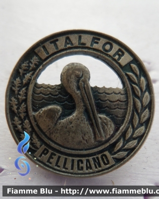 Spilla
Esercito Italiano
ITALFOR Pellicano
