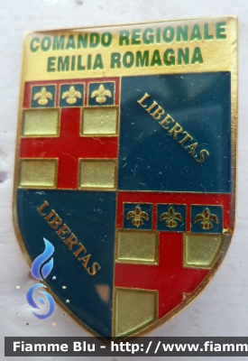 Spilla
Guardia di Finanza
Comando Regionale Emilia Romagna
