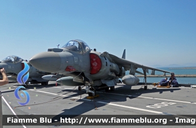 McDonnell Douglas-BAe AV-8B Harrier II Plus
Marina Militare Italiana
 MM 07
Parole chiave: McDonnell Douglas-BAe AV-8B_Harrier_II_Plus