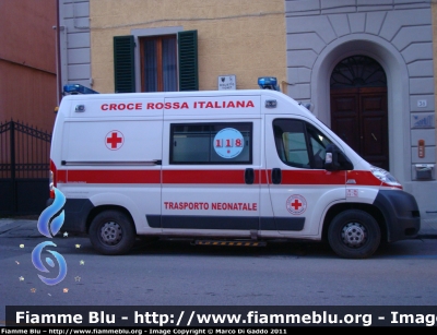 Fiat Ducato X250 
Croce Rossa Italiana
Comitato Locale di San Frediano a Settimo (PI)
CRI 121AA
Parole chiave: Fiat Ducato_X250 Ambulanza CRI121AA